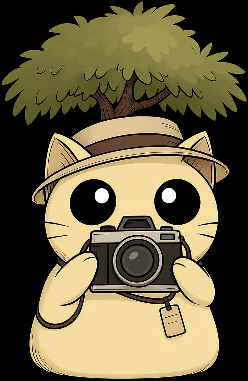 TIC with Camera
