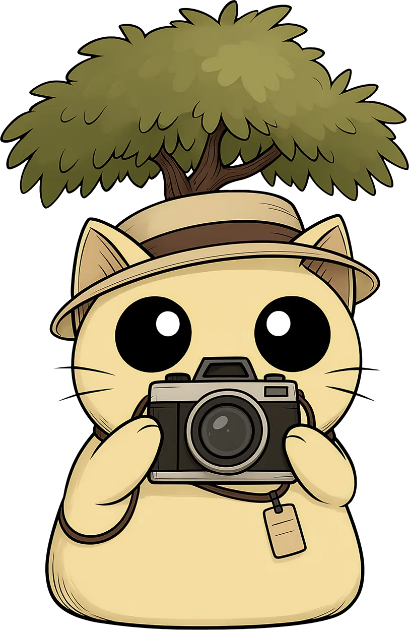 TIC with Camera